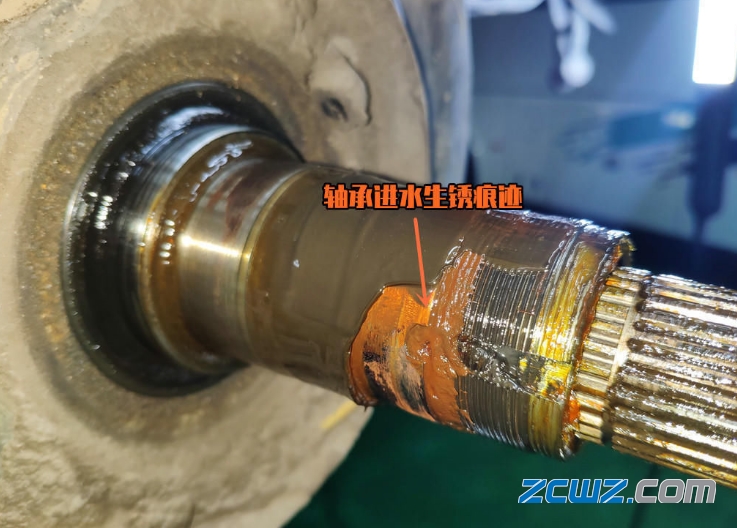 学会轮毂轴承拆卸和保养步骤,让您省好几百