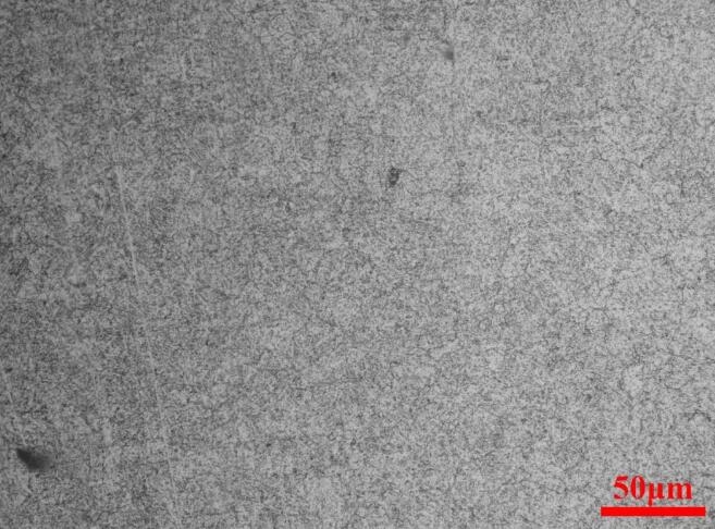 轴承套圈酸洗白斑分析