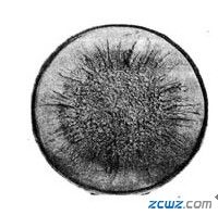 大型锻件中常见缺陷有哪些