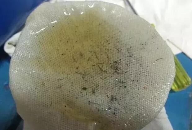 船舶艉轴承高温问题及其操作注意事项