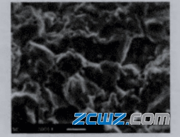 泵用推力球轴承磨损失效故障举例说明