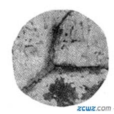 大型锻件中常见缺陷有哪些