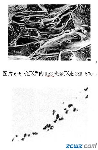 大型锻件中常见缺陷有哪些