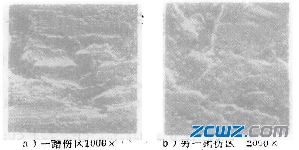 滚子轴承打滑蹭伤因素及轴承防滑措施