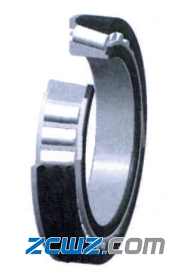 风电定位轴承的结构,特点及限制分析