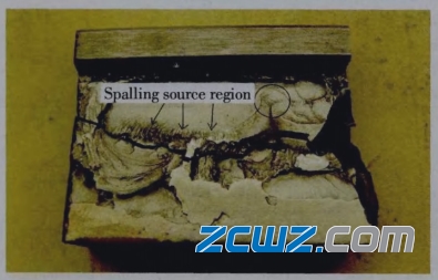 双列圆锥滚子轴承失效实例图分析