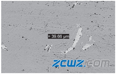 发动机主轴轴承主要损伤形式及原因