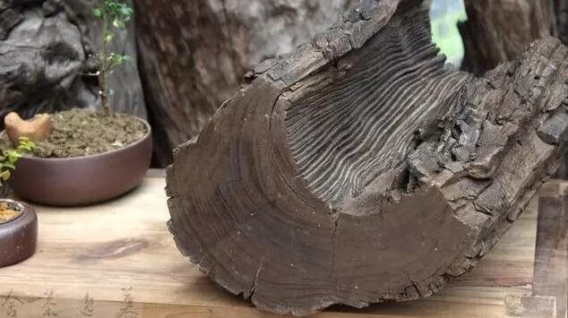 古代这种木头被用作轴承,硬如钢铁,做砧板用多久都不掉渣末
