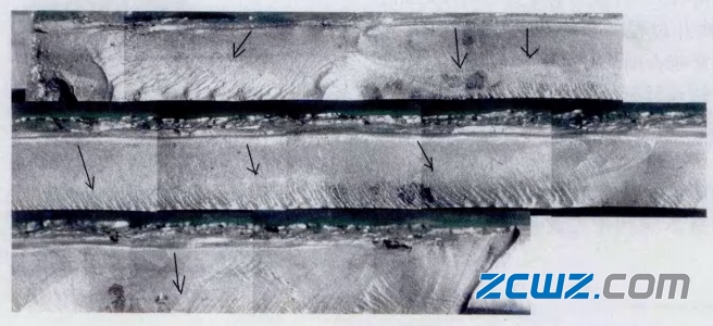 双列圆锥滚子轴承失效实例图分析