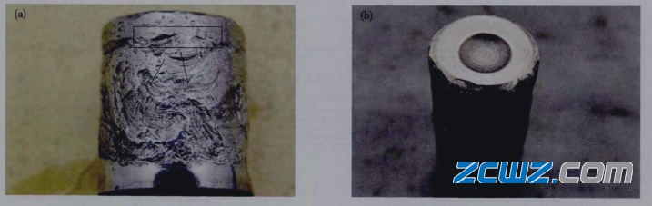 双列圆锥滚子轴承失效实例图分析